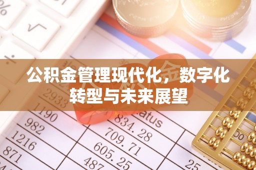 黔南公积金管理现代化，数字化转型与未来展望