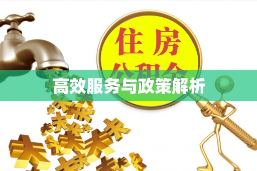 黔南高效服务与政策解析