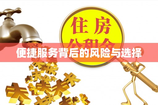 黔南便捷服务背后的风险与选择