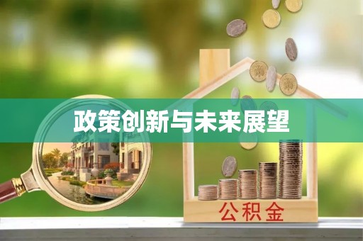 黔南政策创新与未来展望